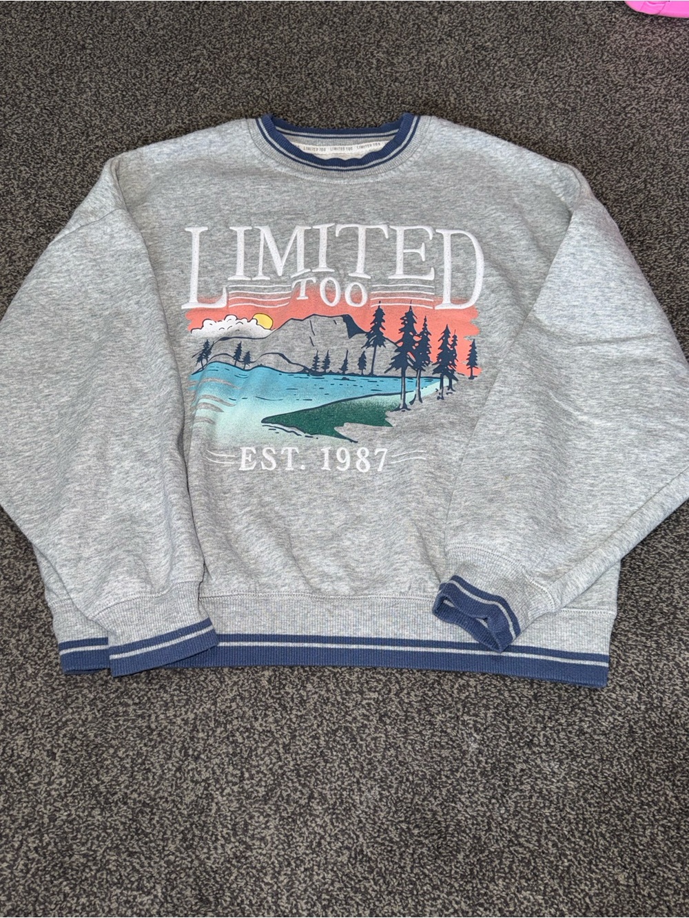 Vintage Limited Too Girls Crewneck Sweatshirt Size M 10 Gray Fleece Pullover